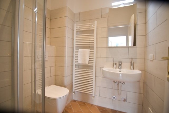 bathroom with shower adjoining master bedroom